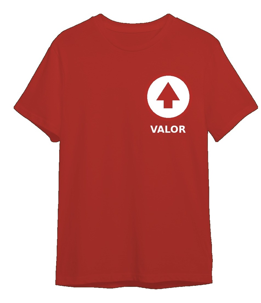 Camiseta algodon VALOR - roja (S)