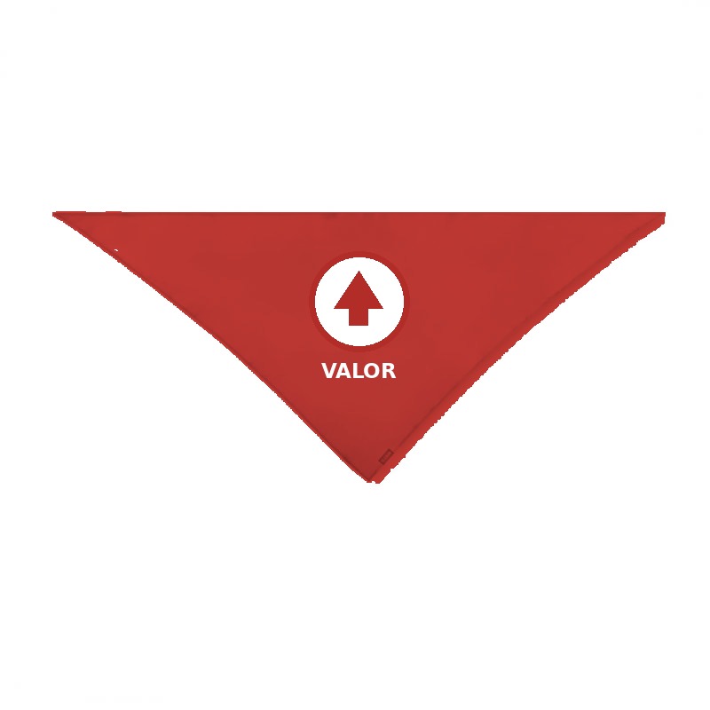 Pañoleta VALOR - roja